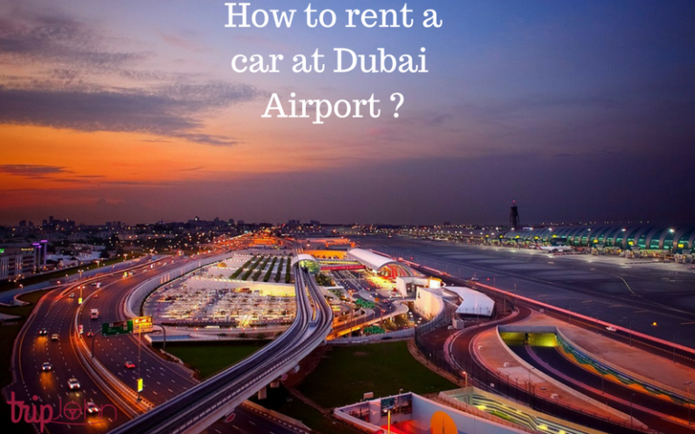 rent a car dubai airport How to rent a car at dubai international
airport? quick guide