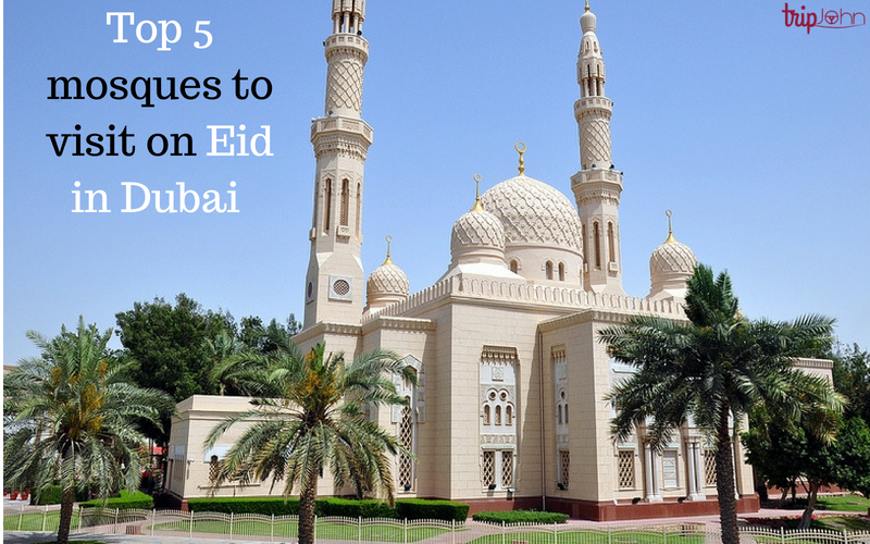 Jumeirah Mosque dubai