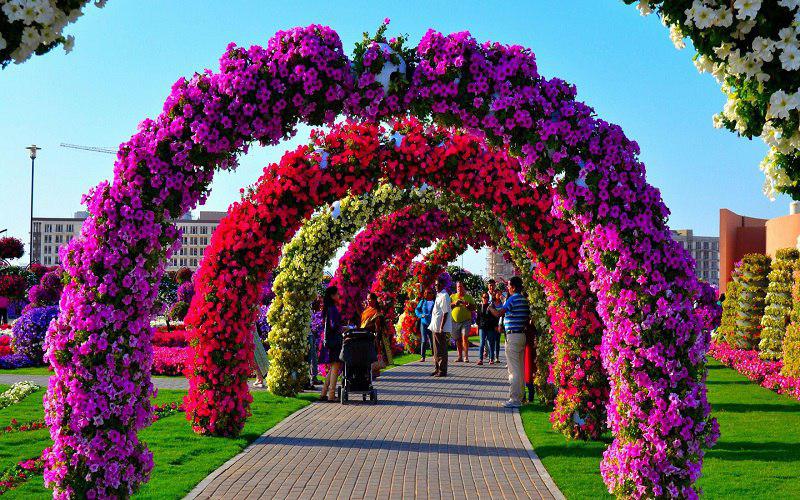 LARGEST FLOWER GARDEN in Dubai Tripjohn