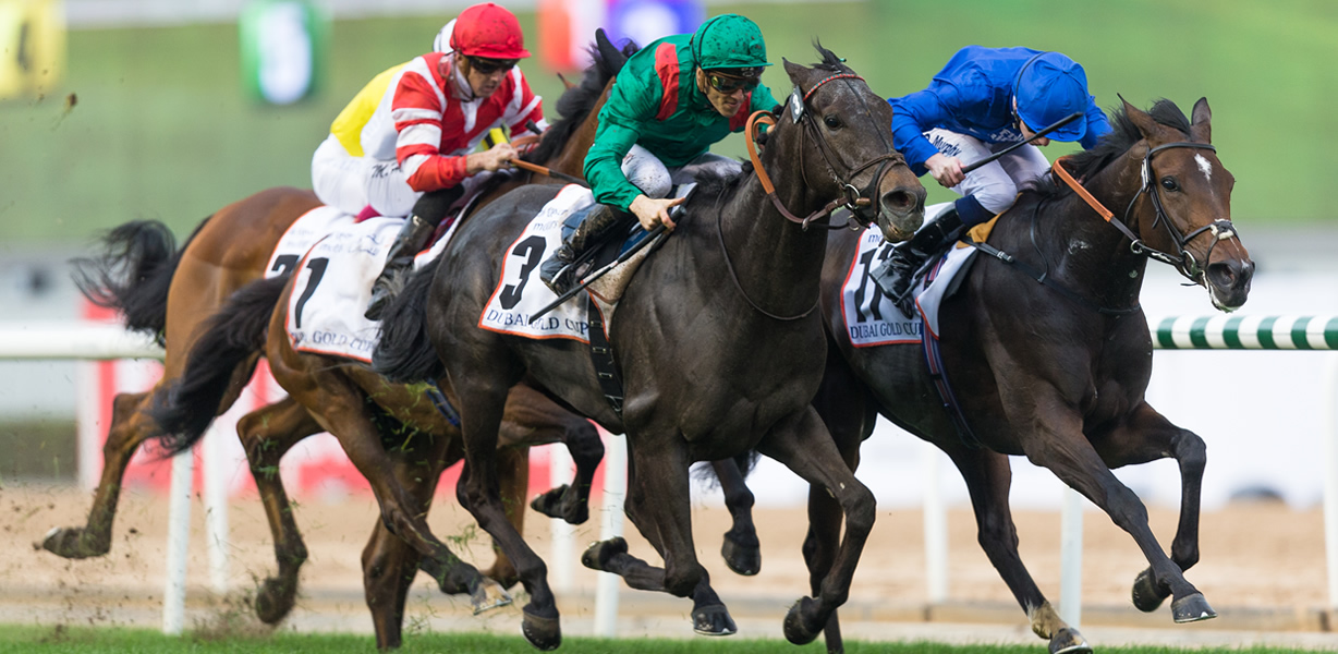 best online horse betting best online horse betting